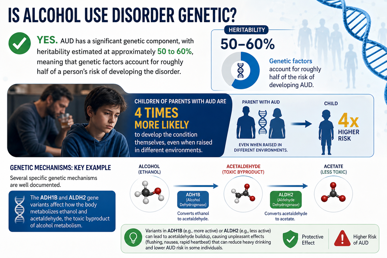Is Alcohol Use Disorder Genetic?
